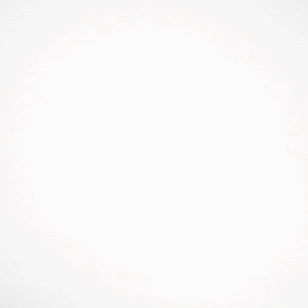 v_5.gif